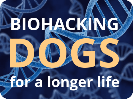 Biohacking Dogs